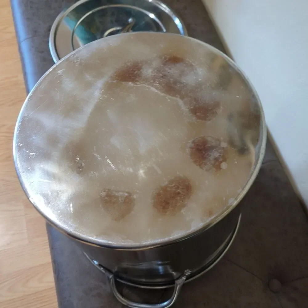 16 QUART STAINLESS STEEL LIDDED STOCKPOT. FREE Smaller One.